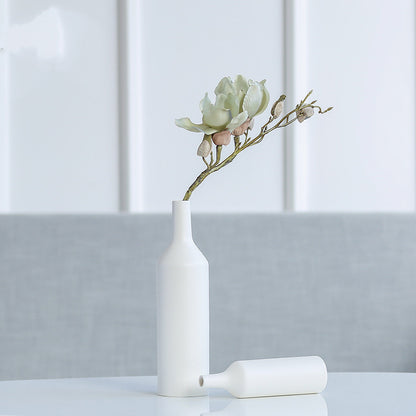 Hydroponic Vase